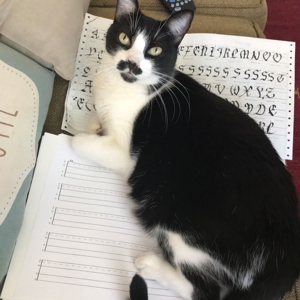 Meet your Posher, Jennifer